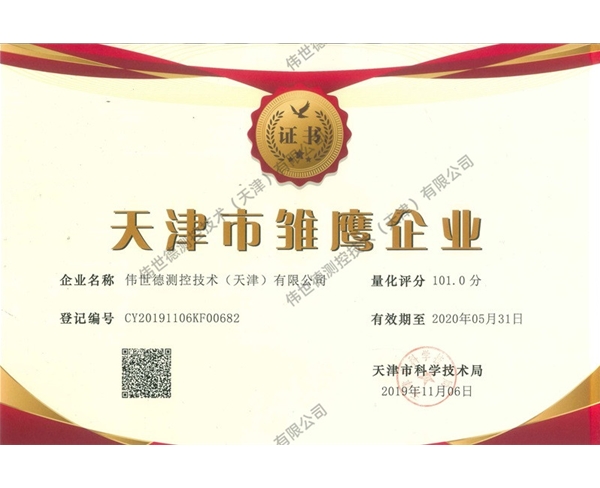 雏鹰企业证书