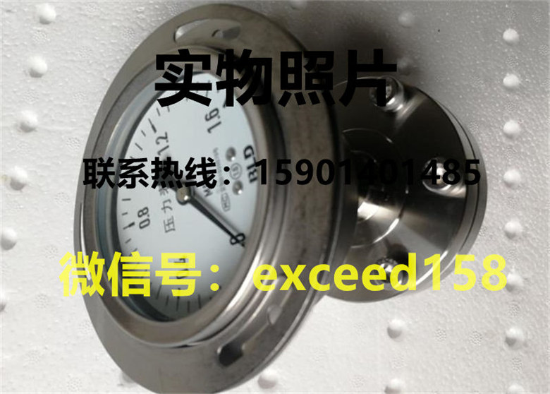 BLD布莱迪轴向隔膜压力表1