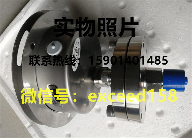 BLD布莱迪轴向隔膜压力表2