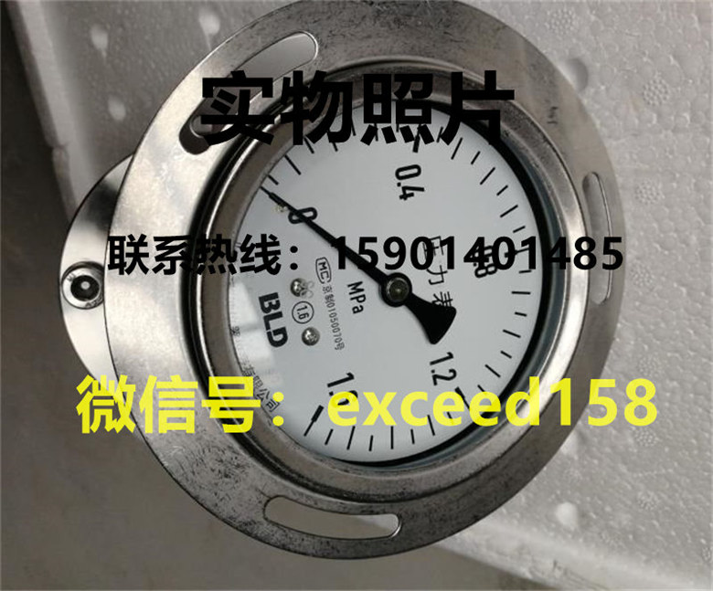 BLD布莱迪轴向隔膜压力表