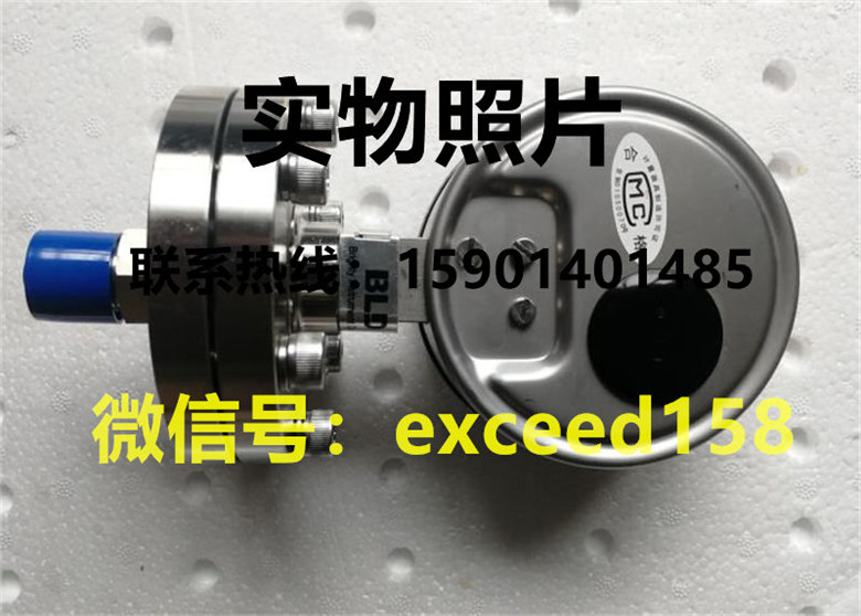 BLD布莱迪隔膜压力表PYTNH-100   0-1MPA1