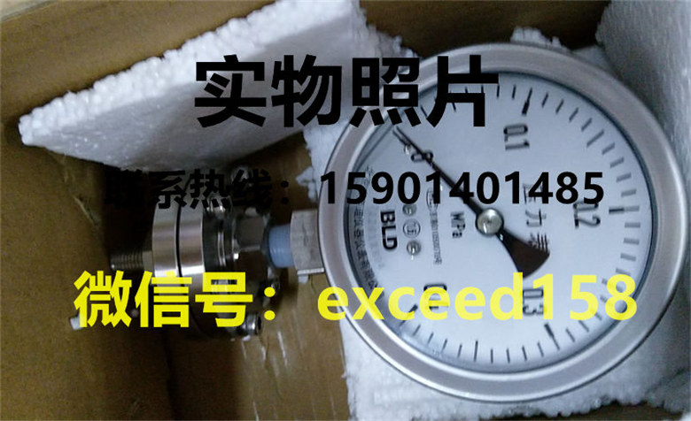 BLD布莱迪隔膜压力表PYTNH-100 0-0.4MPA