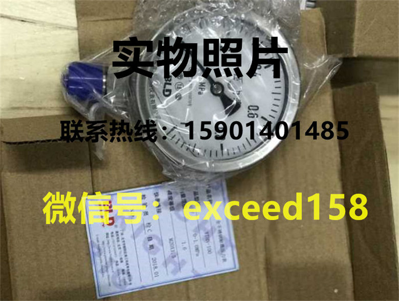 BLD布莱迪隔耐震力表YTNH-100   0-1MPA