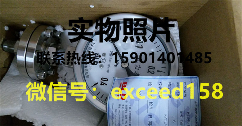 BLD布莱迪隔膜压力表PYTNH-100   0-0.4MPA