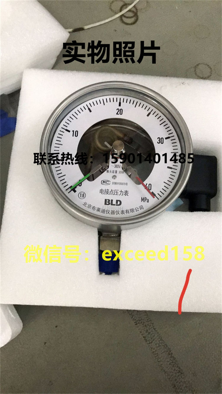 BLD布莱迪电接点YXHN-100.A0     YXC-100.A0   YXH-160.A0