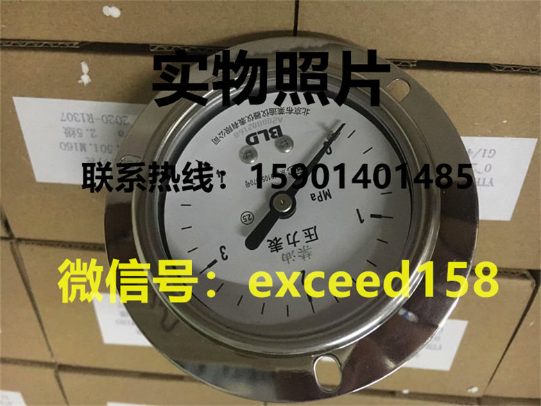 布莱迪BLD压力表YTHN-63.ZT  0-4MPA1