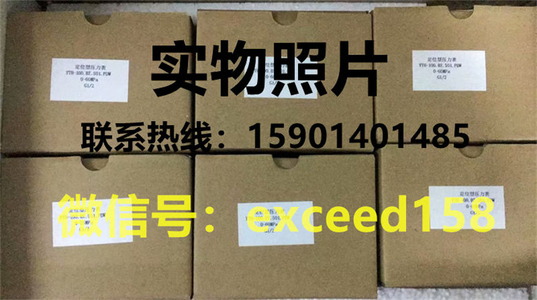 布莱迪BLD压力表YTH-100.BT  0-60MPA