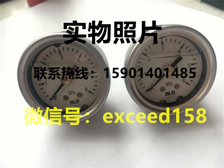 布莱迪BLD压力表YTHN-040.ZO   0-6MPA1