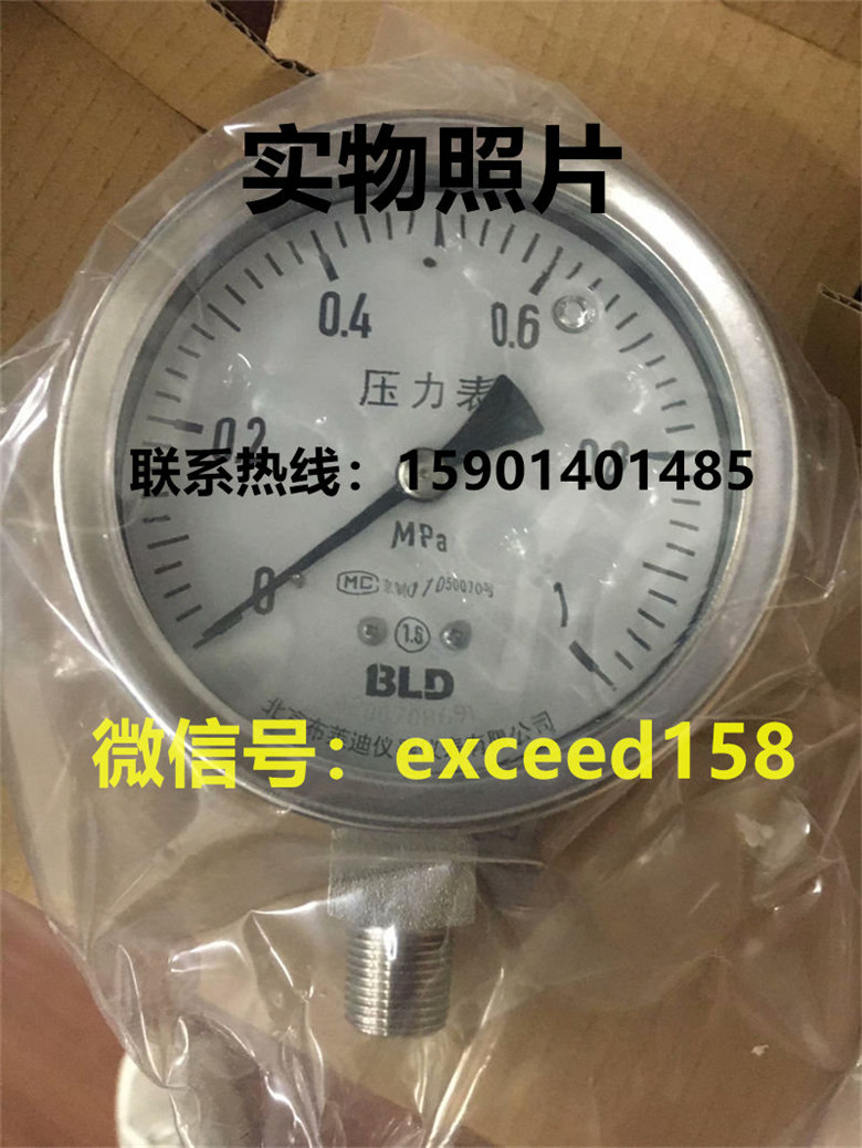 布莱迪BLD压力表YTHN-100.A0  0-1MPA 1