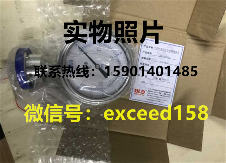 布莱迪卫生型隔膜压力表 0-1mpa