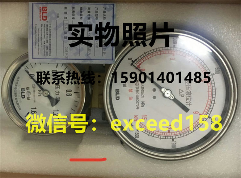 布莱迪差压式液位计 11