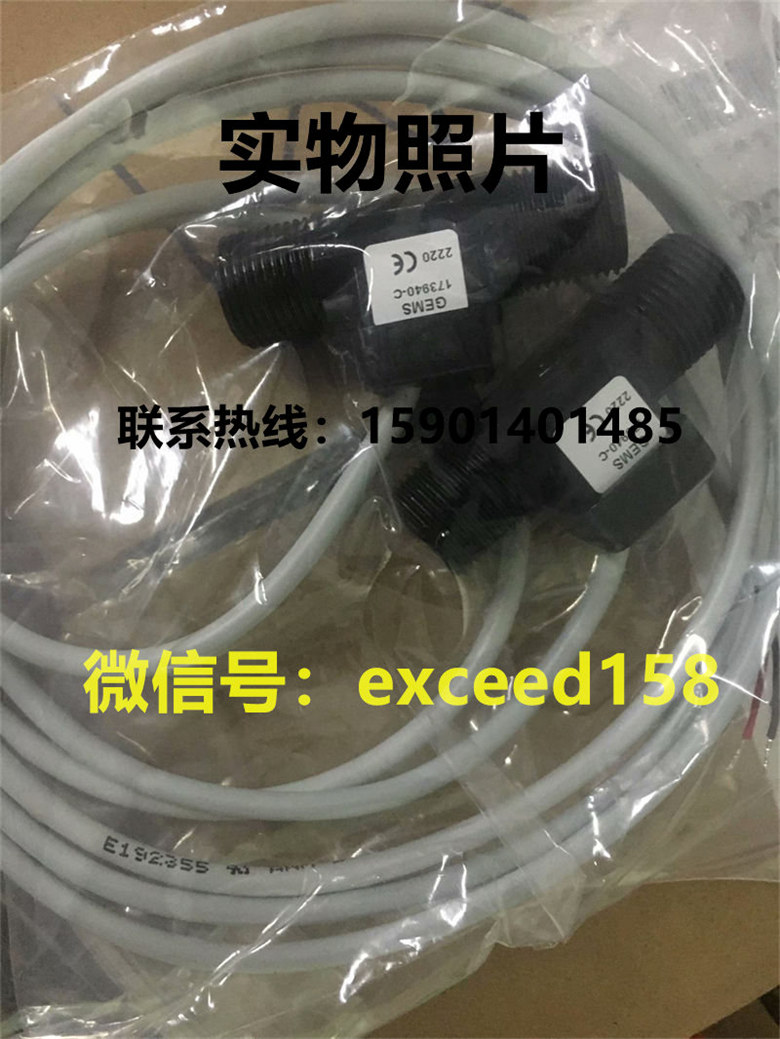 GEMS流量开关173940-C