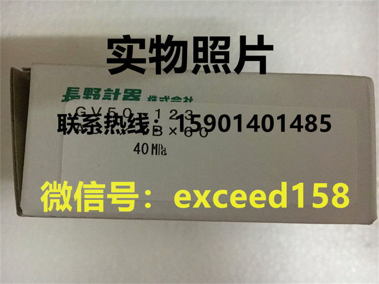 长野压力表GV50-123  0-40MPA1