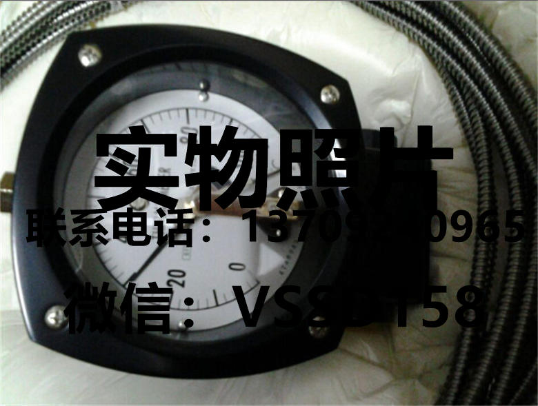 NKS长野计器TW54-002温度计