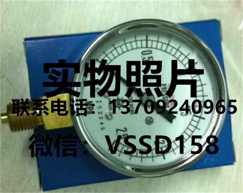 DAIICHIKEIKI第一计器压力表
