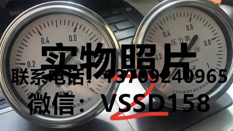 BLD布莱迪压力表 YTH-100.ZO    0-1mpa