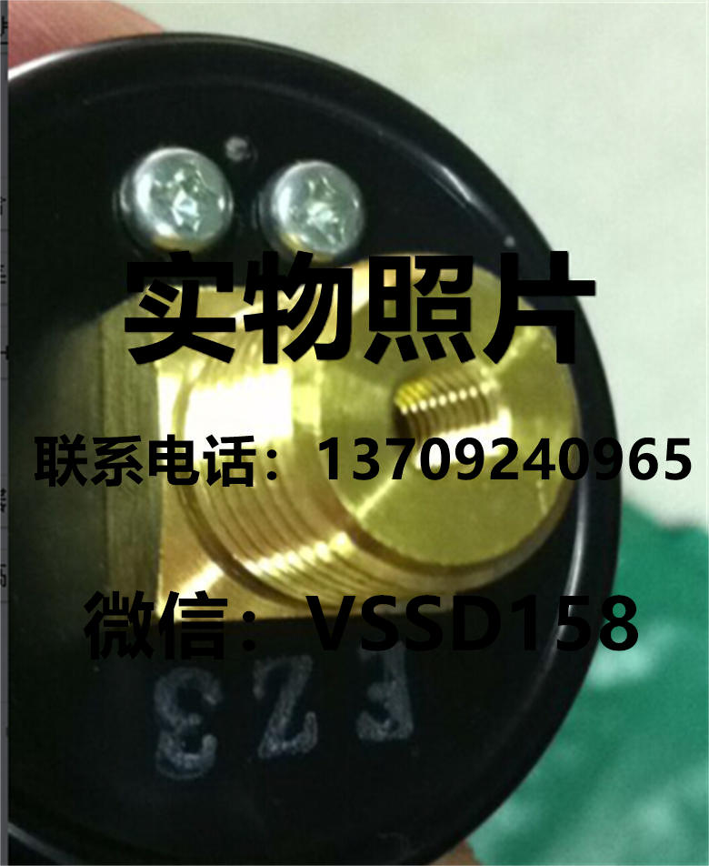 KOGAN小金井压力表2