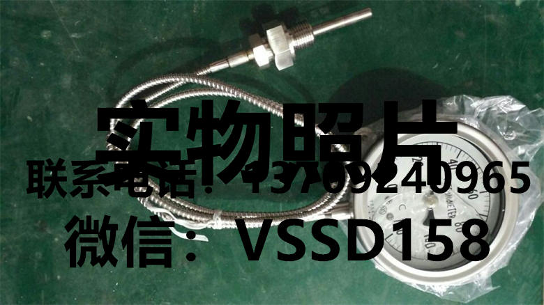 NKS长野远传温度计