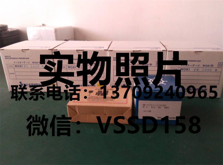 YAMAMOTO山本电机微差压计 MANOSTAR山本W081FN1000D WO81FN2E