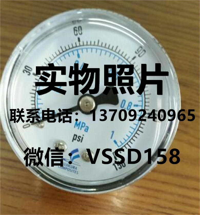 藤仓 压力表CG100