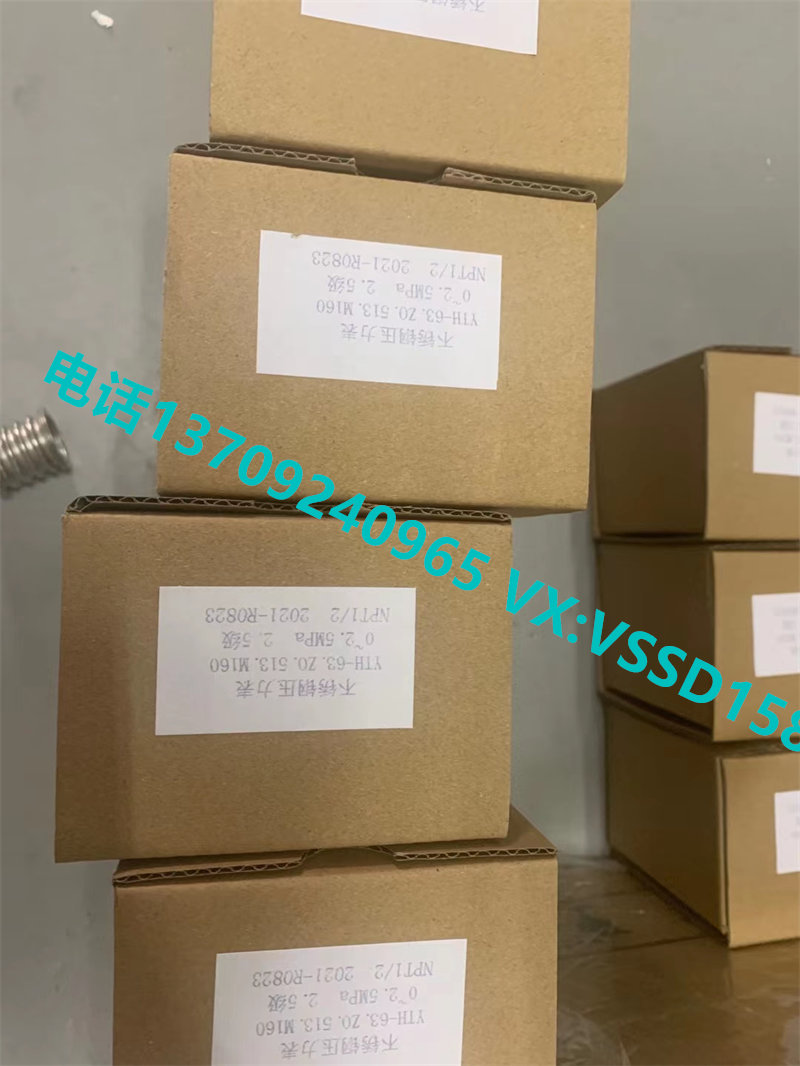 北京布莱迪BLD&brighty 压力表双金属温度计压力变送器  YTH-63.ZO.513.M160  0-2.5MPA