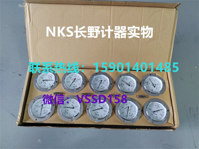 长野NKS.NAGANO KEIKI 压力表压力开关压力传感器温度计GS52-231 0-0.6MPA GS58-271-200000XXXXJ0(0-1MPa） (4)