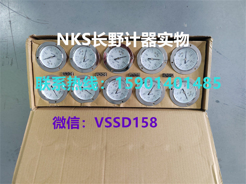 长野NKS.NAGANO KEIKI 压力表压力开关压力传感器温度计GS52-231 0-0.6MPA GS58-271-200000XXXXJ0(0-1MPa） (2)