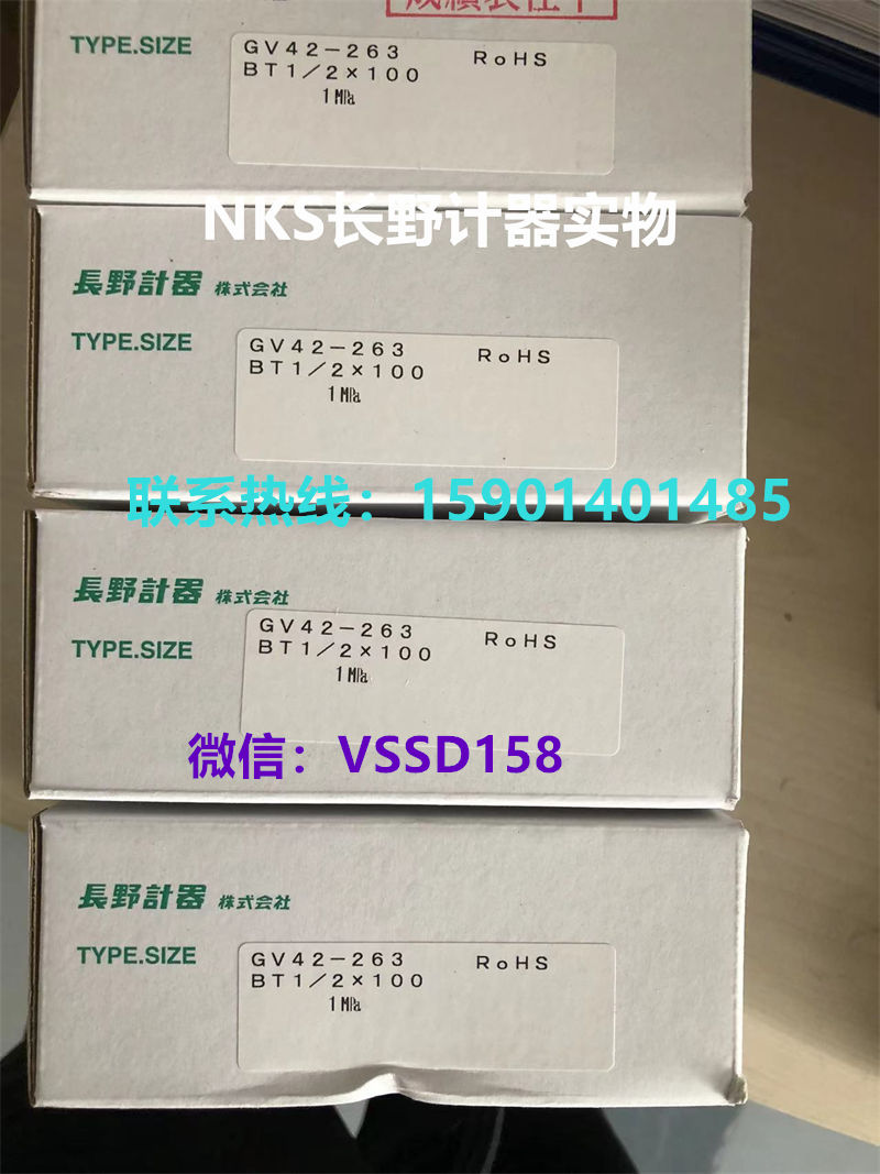长野NKS.NAGANO KEIKI 压力表压力开关压力传感器温度计 GV42-263-20001X0 XXXX0  0- 1MPA  (1)