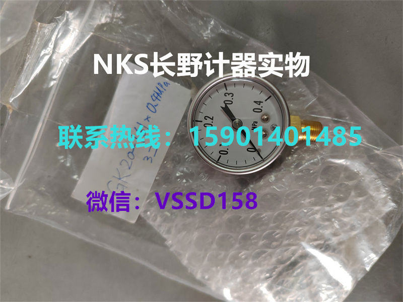 长野NKS.NAGANO KEIKI 压力表压力开关压力传感器温度计GK20-1612XXX00XXXXX0 (0~0 (2)