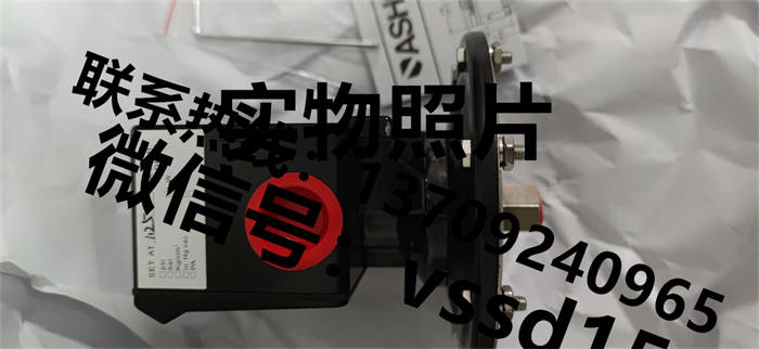 美国雅斯科 ASHCROFT 压力表压力开关压力传感器双金属温度计B424V XFSHXTA 10IW (2)