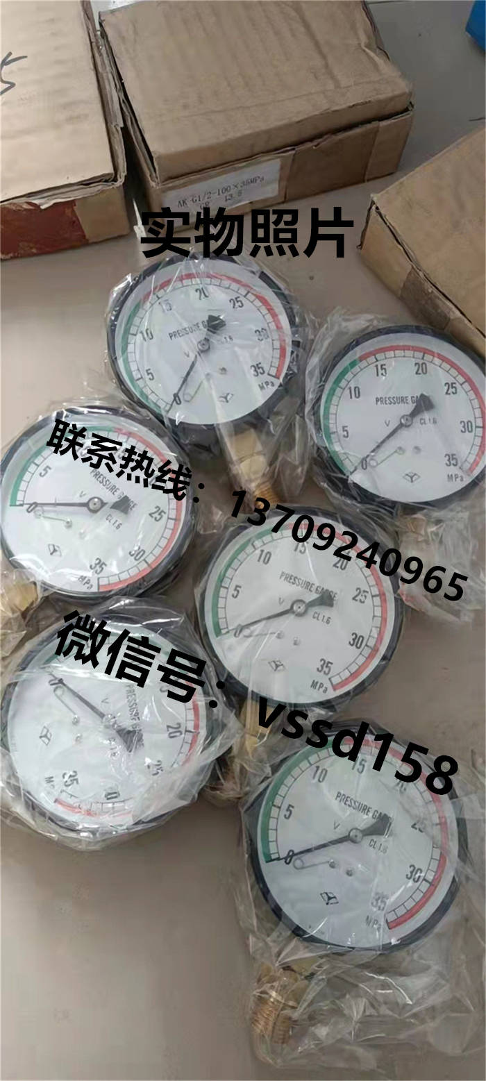 日本淀川计器YODOGAWA压力表 (2)