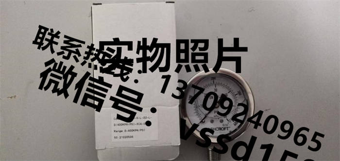 雅斯科 ASHCROFT 压力表63-5008-S--02-L-0-4000KPA-XC4-GR (2)