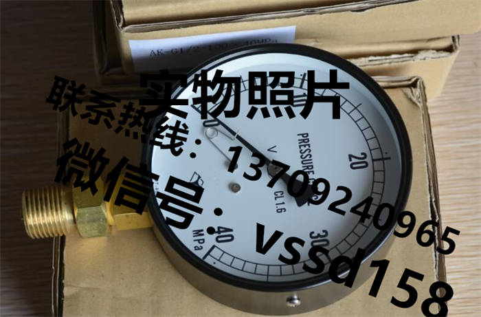 日本淀川计器YODOGAWA压力表 (1)