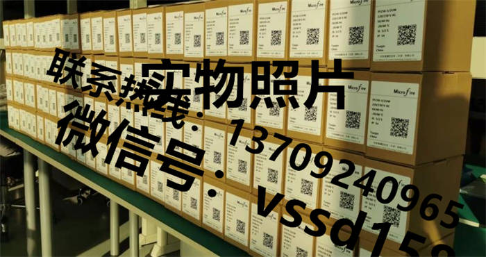 VSSD伟世德公司FF258系列之火焰检测控制器 (2)