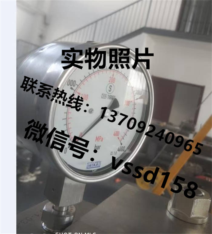 德国威卡WIKA 压力表压力传感器 (2)