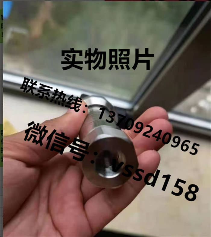 德国威卡WIKA 压力表高压压力传感器 HP-2-S  0-4000bar   0-400mpa (2)