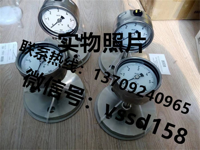 德国威卡WIKA 压力表压力传感器 (1)