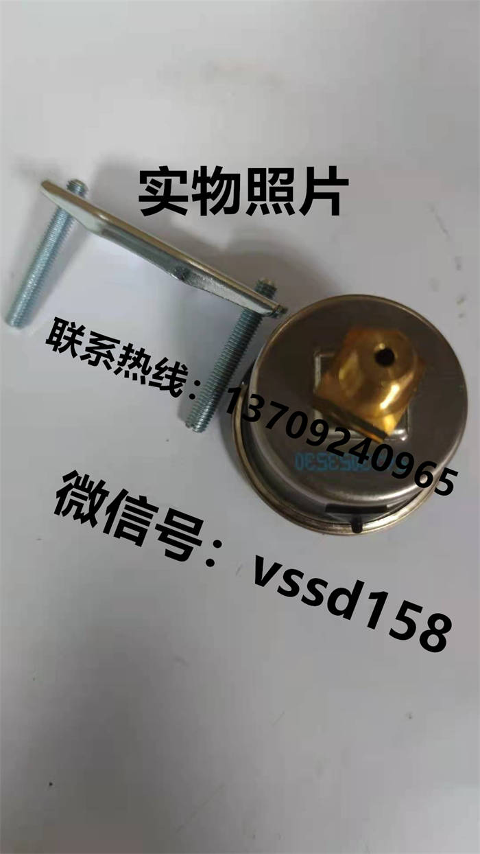 德国威卡WIKA 压力表压力传感器 113.53.040 160PSI  (4)