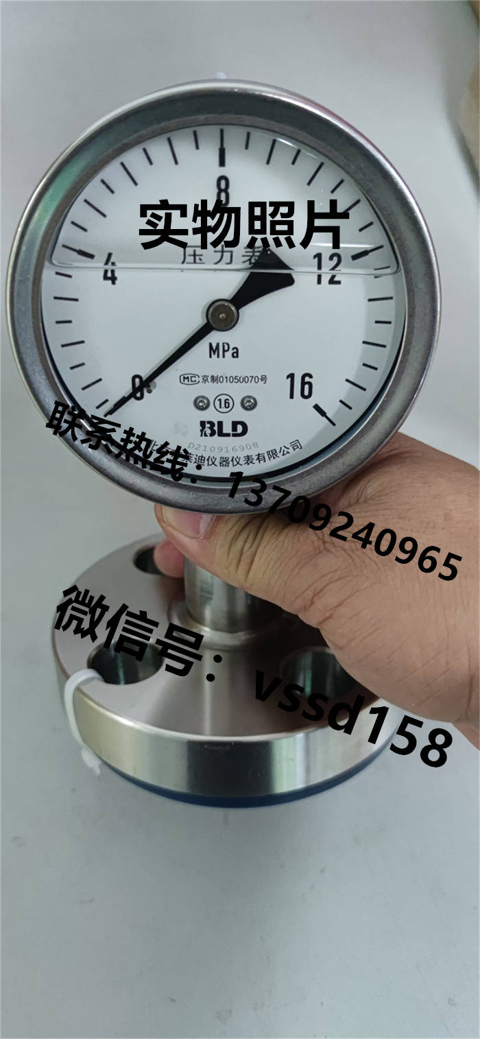 北京布莱迪BLD&brighty 隔膜压力表YTNP-100.A0   PYTH-100 (8)