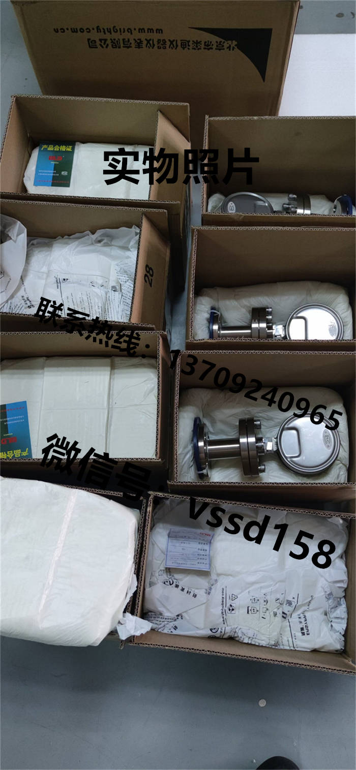 北京布莱迪BLD&brighty 隔膜压力表YTNP-100.A0   PYTH-100 (9)