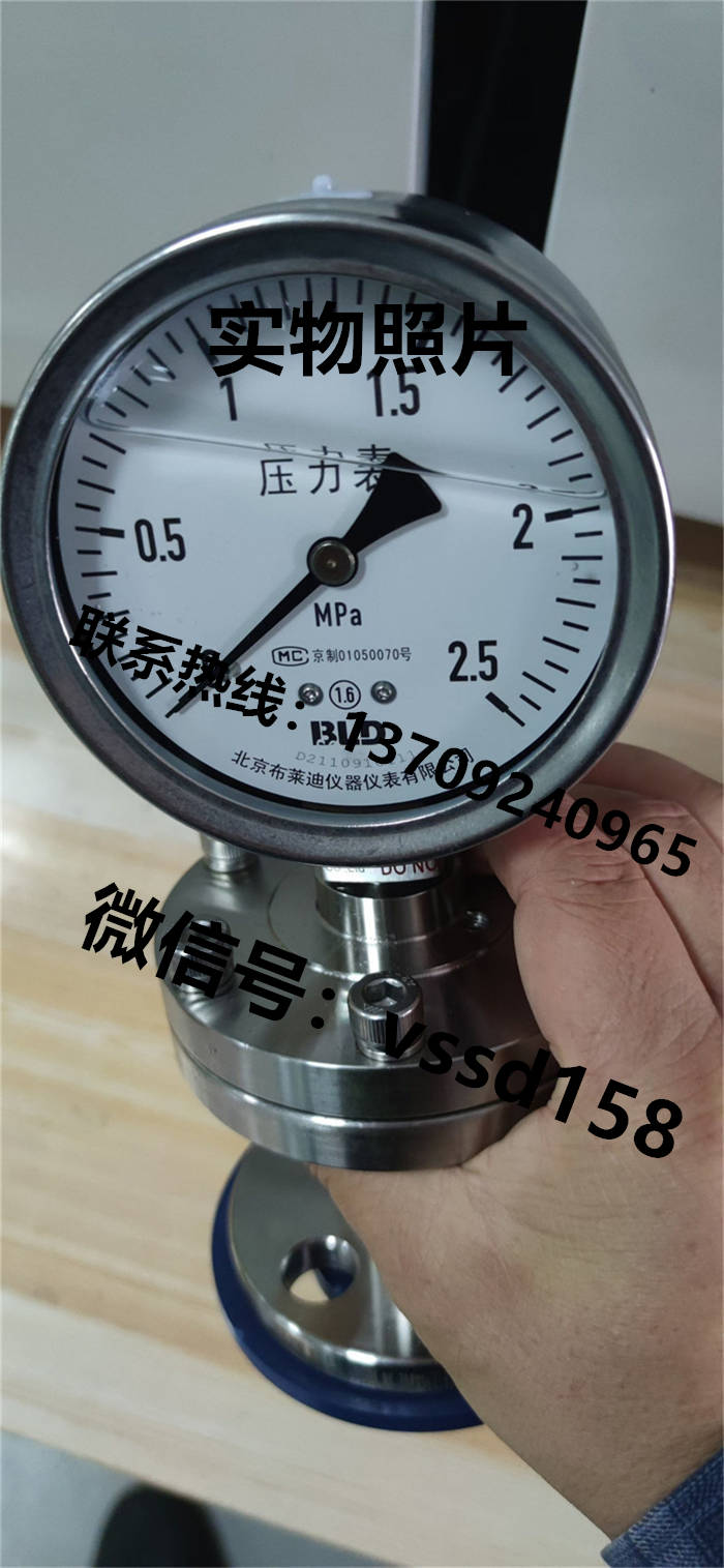 北京布莱迪BLD&brighty 隔膜压力表YTNP-100.A0   PYTH-100 (5)