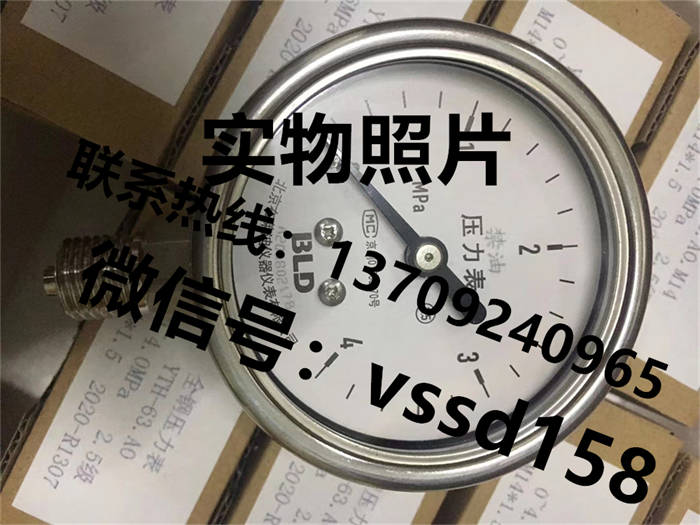 北京布莱迪BLD&brighty 压力表 YTH-100.A0  YTHN-100.A0  YTN-100.A0  YTHN-63 (3)