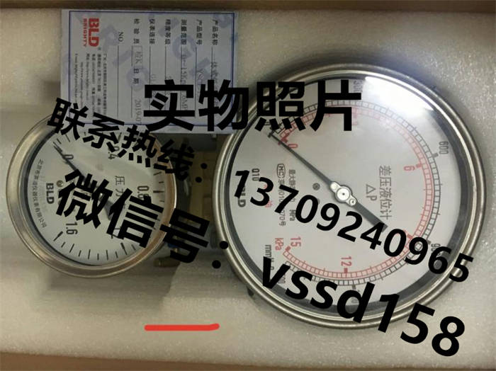 北京布莱迪BLD&brighty 压力表PYTHN-63.A0  PYTHN-100.A0  PYTH-63 (5)