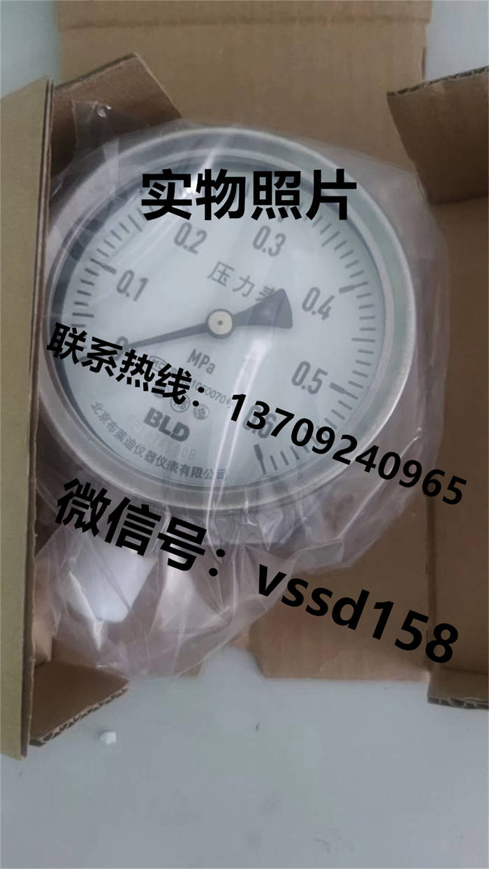 北京布莱迪BLD&brighty 压力表YTH-100.A0  YTHN-100.A0  YTN-100.A0  YTHN-63 (2)