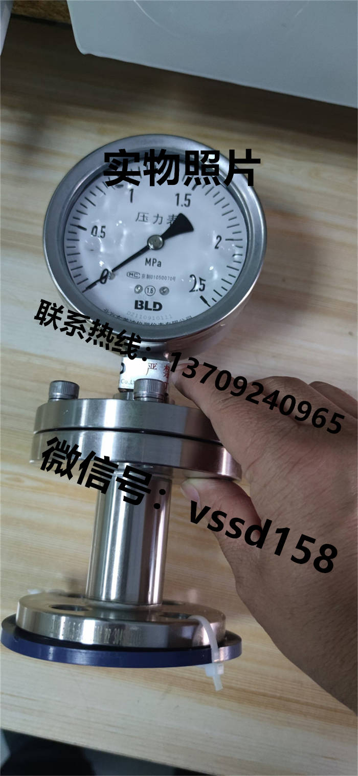 北京布莱迪BLD&brighty 隔膜压力表YTNP-100.A0   PYTH-100 (7)