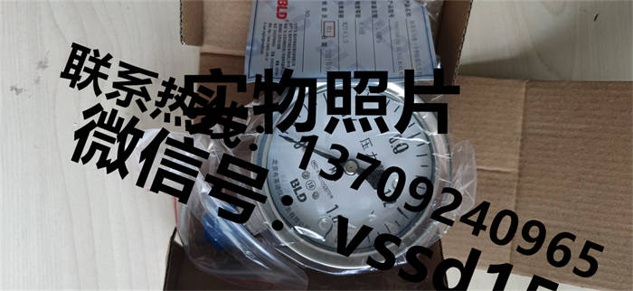北京布莱迪BLD&brighty 压力表YTH-100.A0  YTHN-100.A0  YTN-100.A0  YTHN-63 (11)