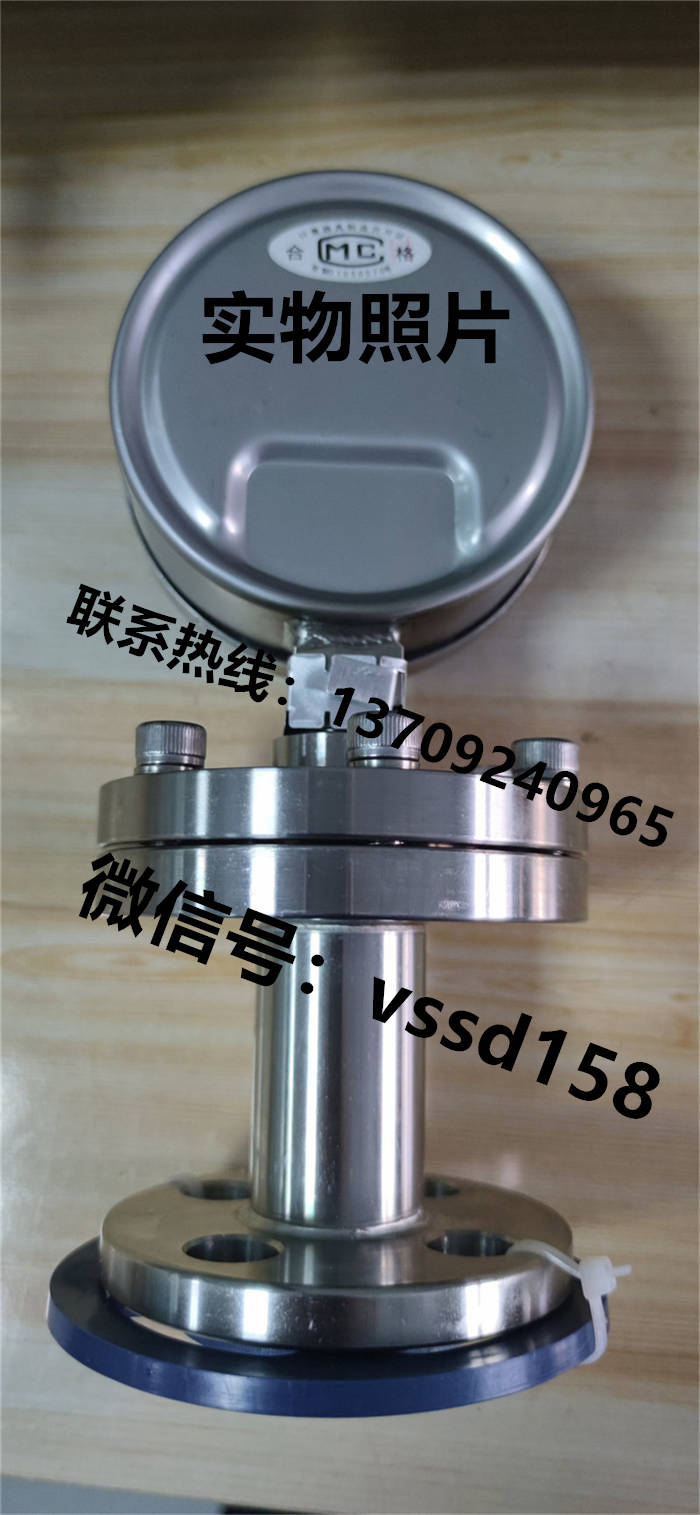 北京布莱迪BLD&brighty 隔膜压力表YTNP-100.A0   PYTH-100 (3)