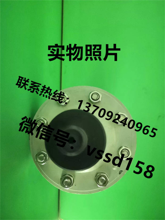 北京布莱迪BLD&brighty 压力表半塑式隔膜压力表YTNP-63H  0-1MPA (3)