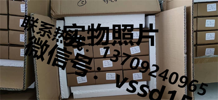 北京布莱迪BLD&brighty 压力表YTH-100.A0  YTHN-100.A0  YTN-100.A0  YTHN-63 (13)