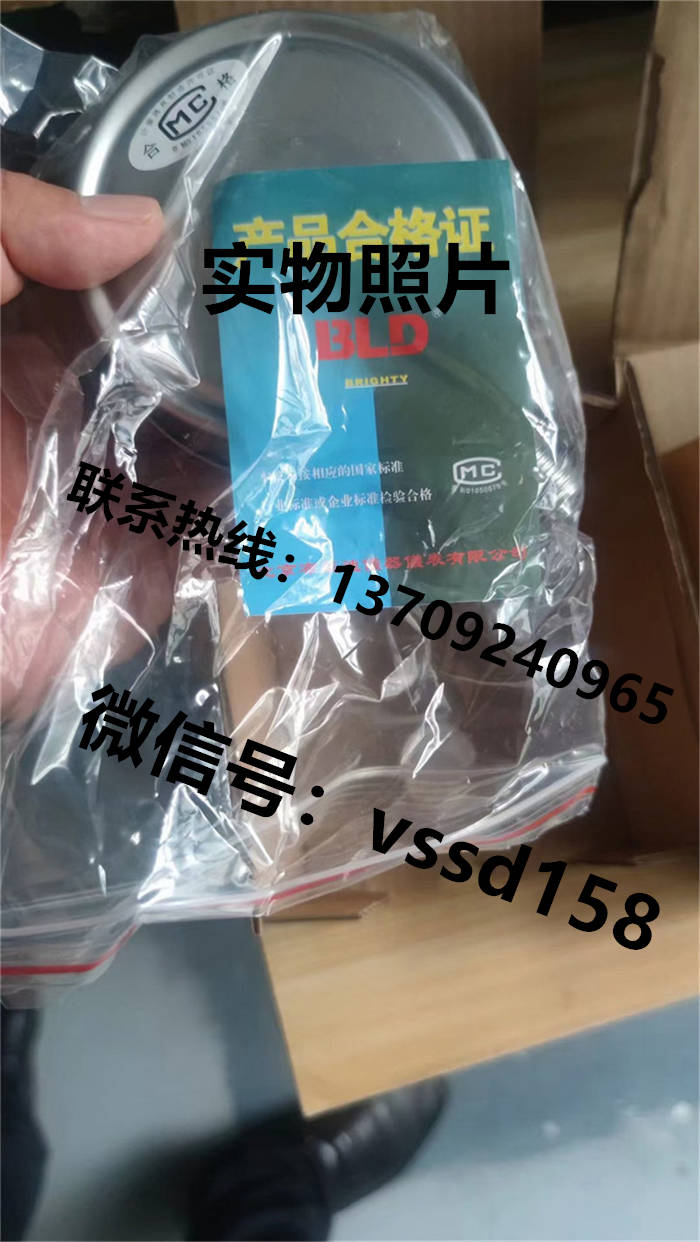 北京布莱迪BLD&brighty 压力表YTH-100.A0  YTHN-100.A0  YTN-100.A0  YTHN-63 (7)